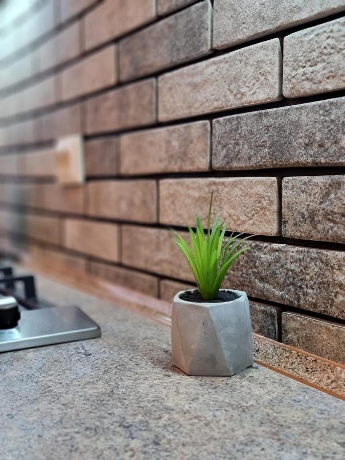 Petropavlivska Apartment Тиха Вуличка В Центрі Старого Міста Kamjanyi Potoki Kültér fotó